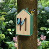 Little Butterfly House - DIGS