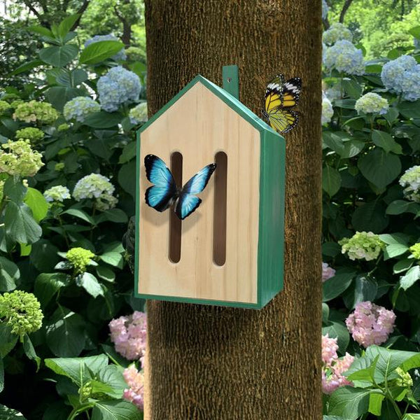 Little Butterfly House - DIGS