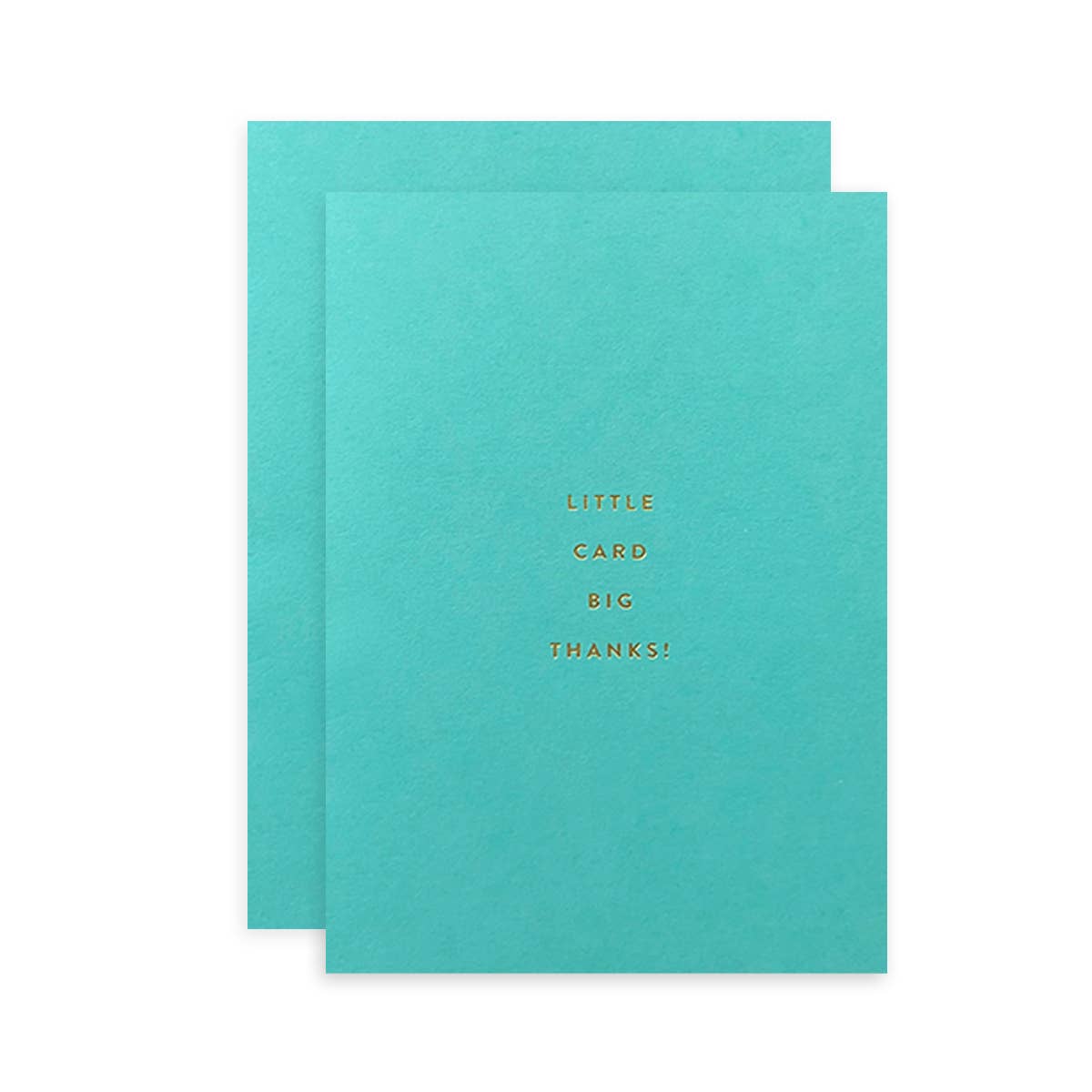 Little Card Big Thanks Petite Card - DIGS