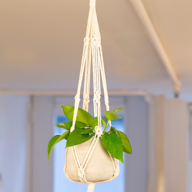 Macrame & Cement Hanging Planter - DIGS