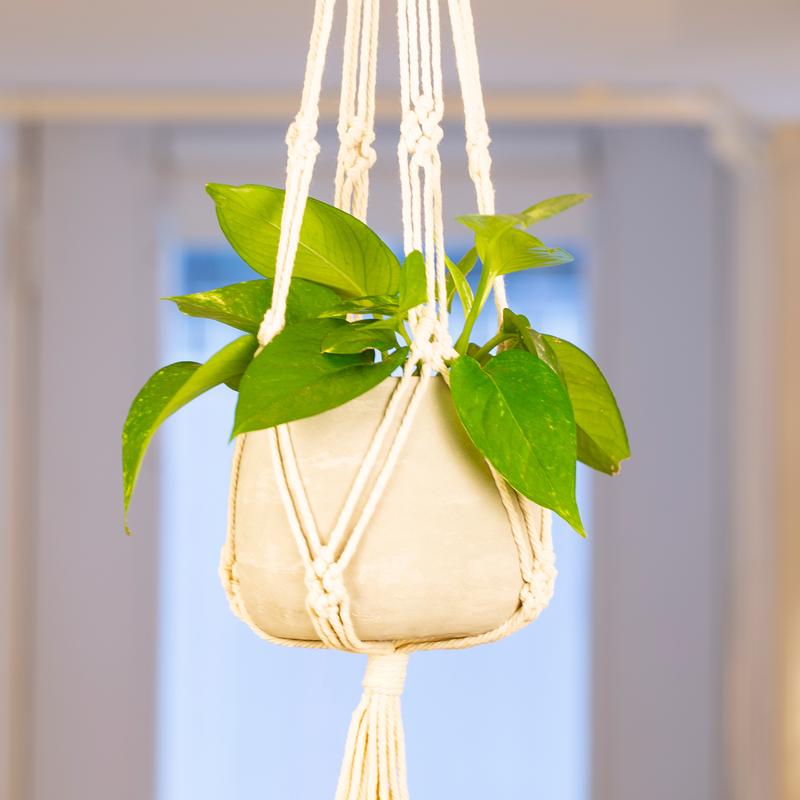 Macrame & Cement Hanging Planter - DIGS