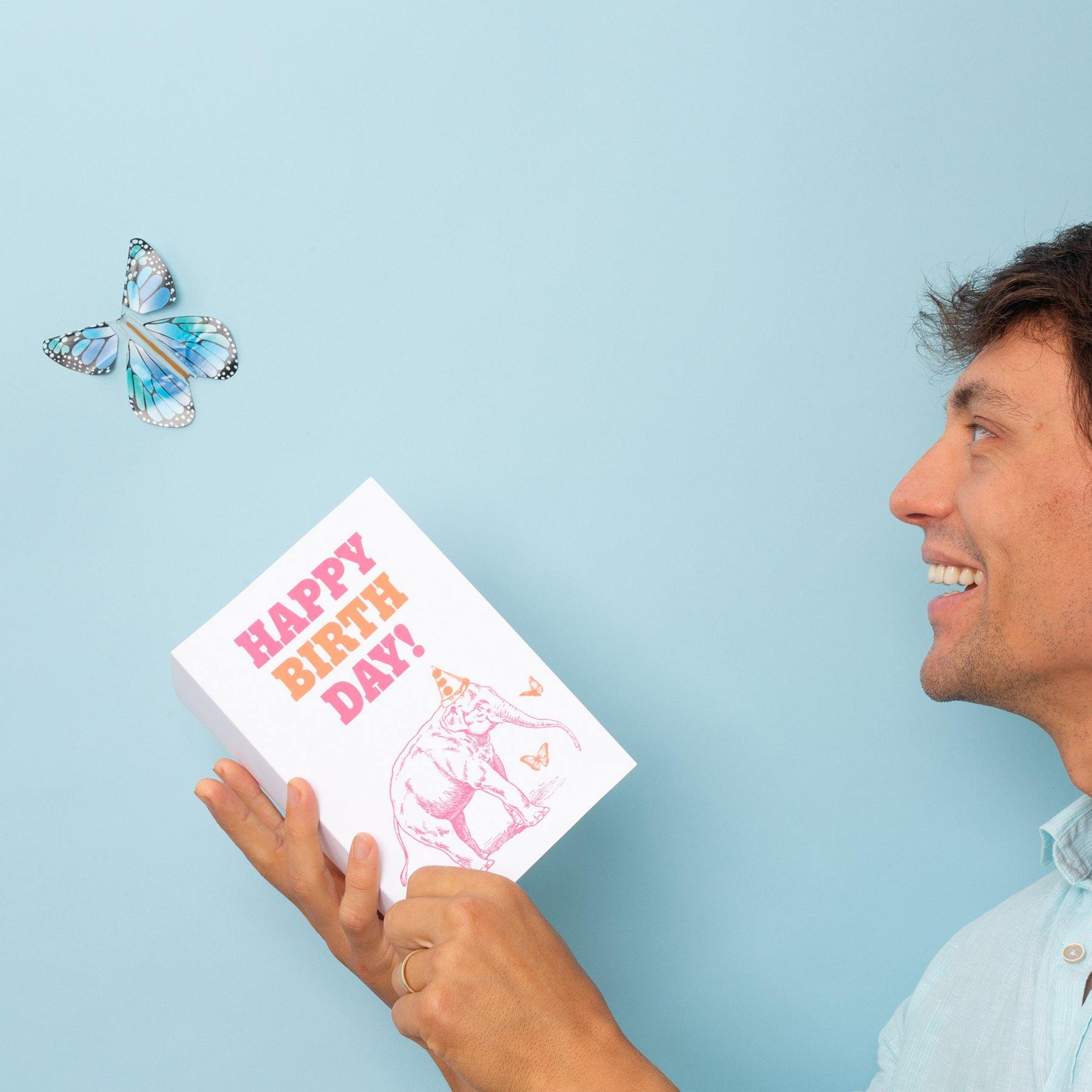 Magic Flying Rainbow Butterfly - DIGS