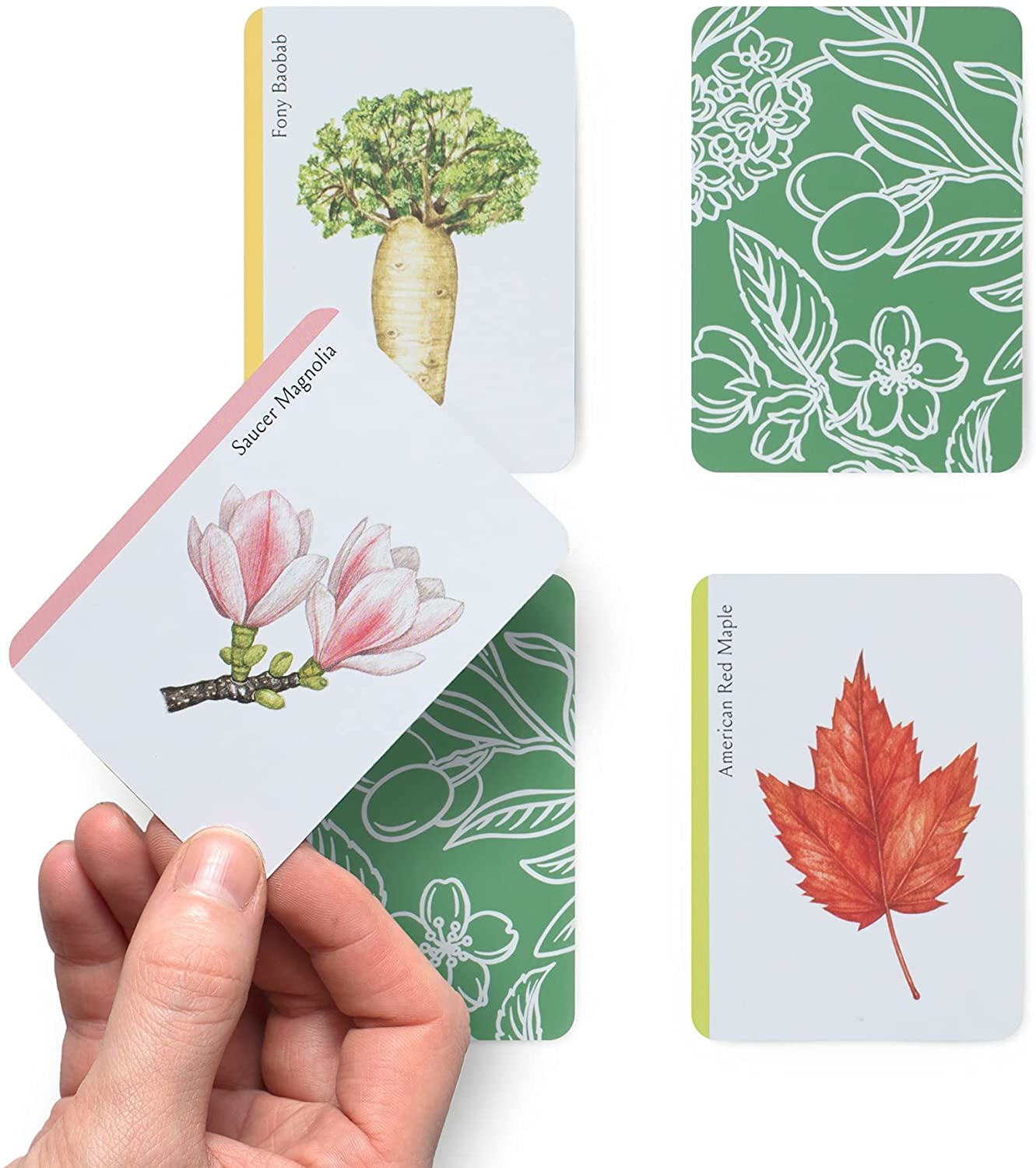 Tree Families: A Botanical Card Game