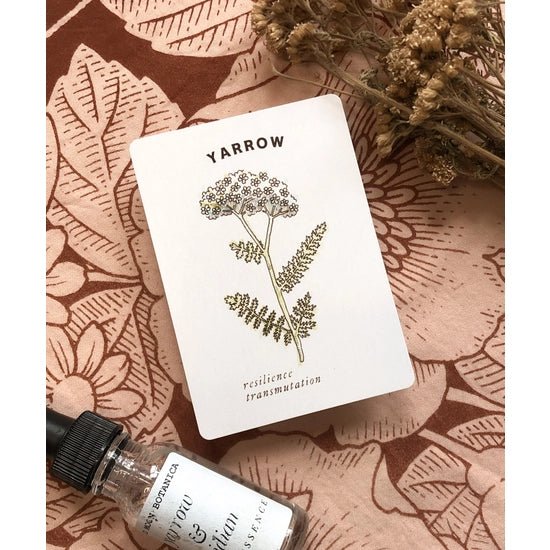Materia Medica Oracle Deck - DIGS