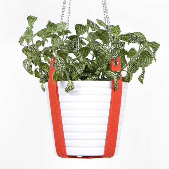 Merino Felt Plant Hanger - DIGS