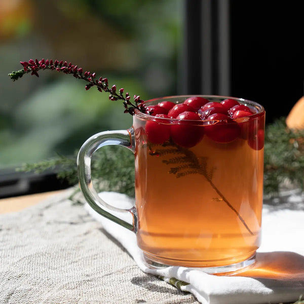 Midwinter Mulled White Wine Cocktail Infusion Pack - DIGS