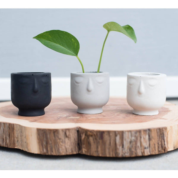 Mini Face Pot Planter - DIGS