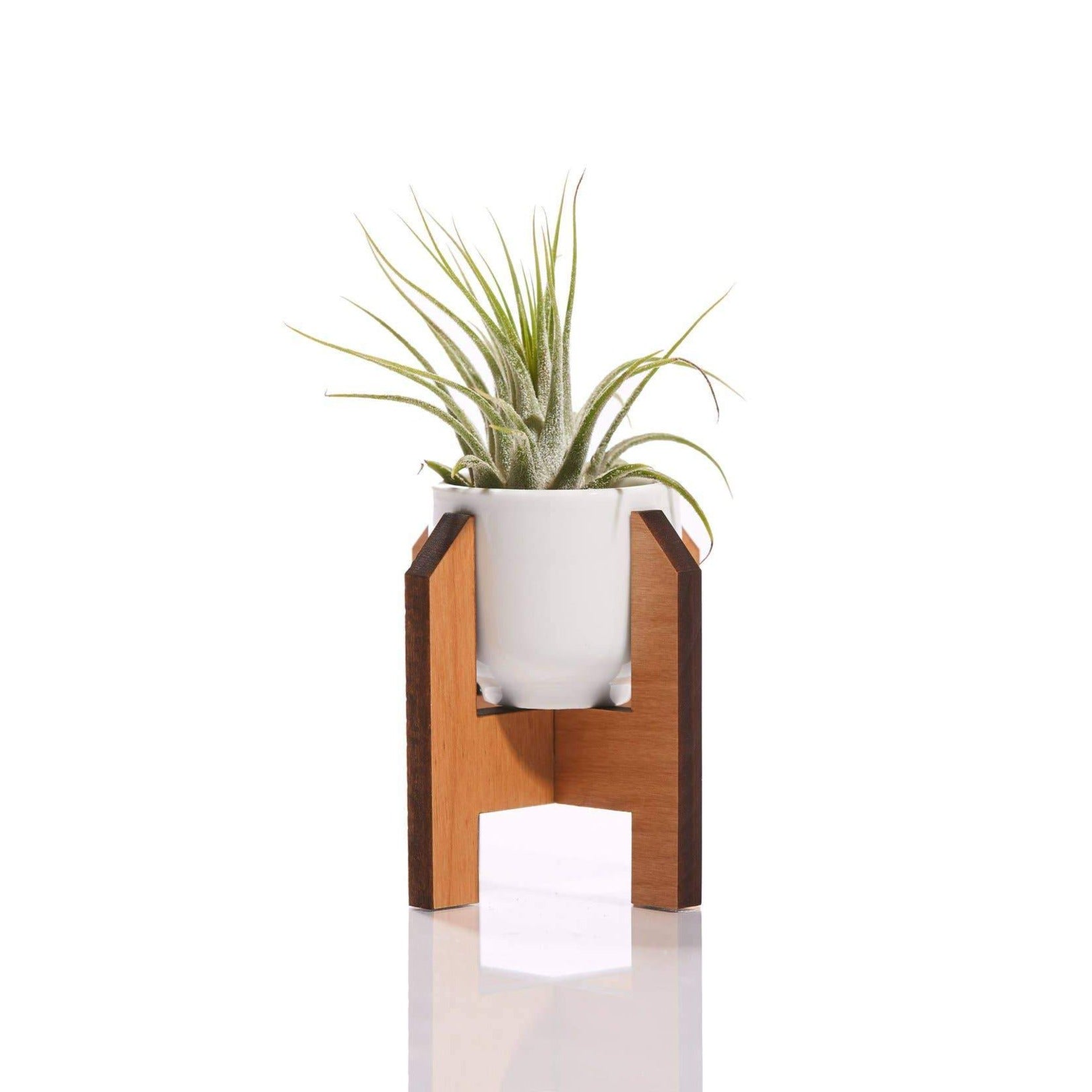 Minimalist Mini Planter - DIGS