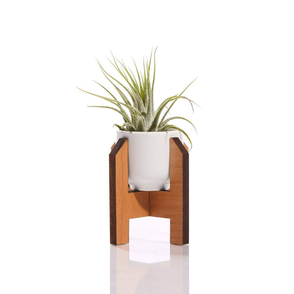 Minimalist Mini Planter - DIGS