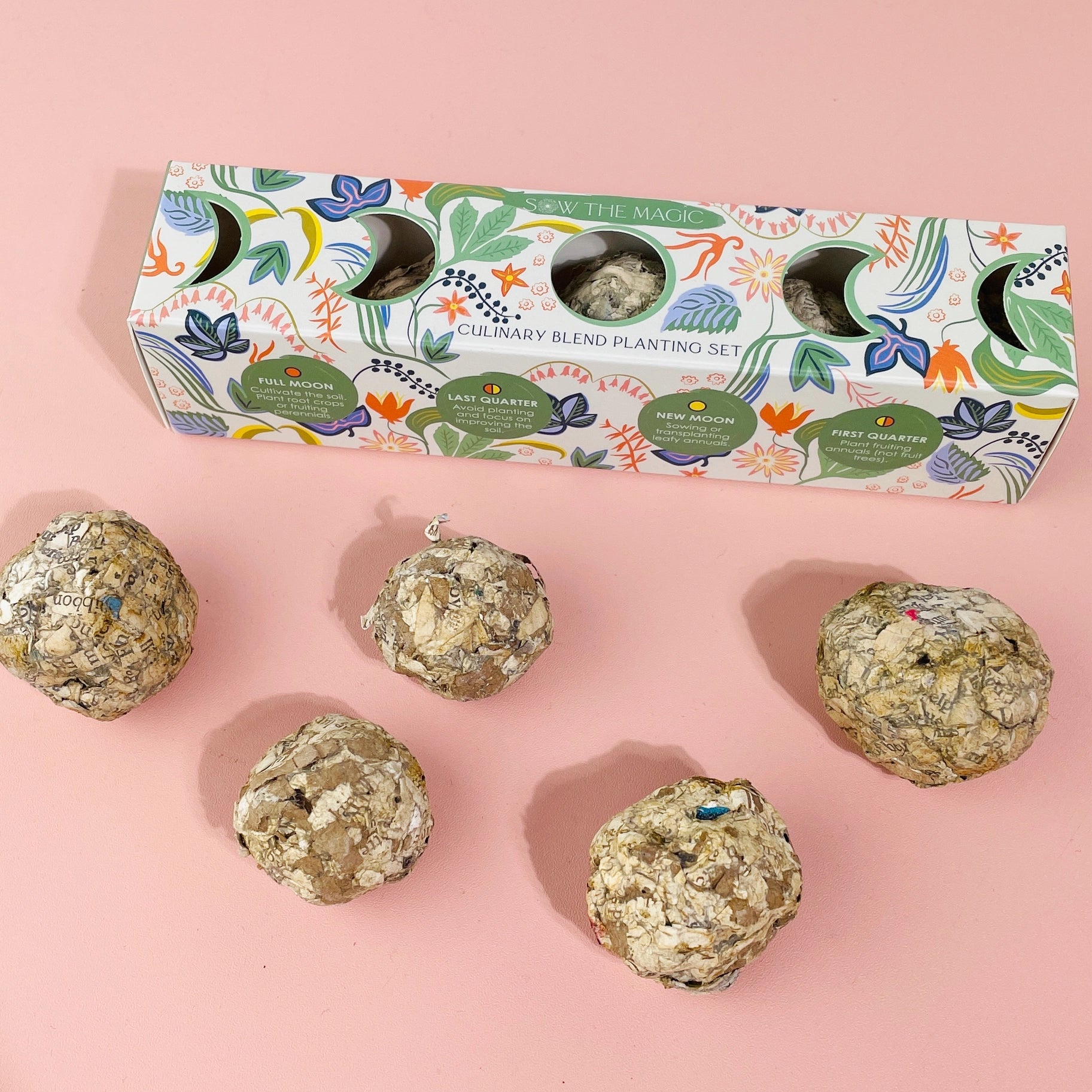 Moon Phase Culinary Planting Set - DIGS
