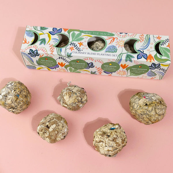 Moon Phase Culinary Planting Set - DIGS