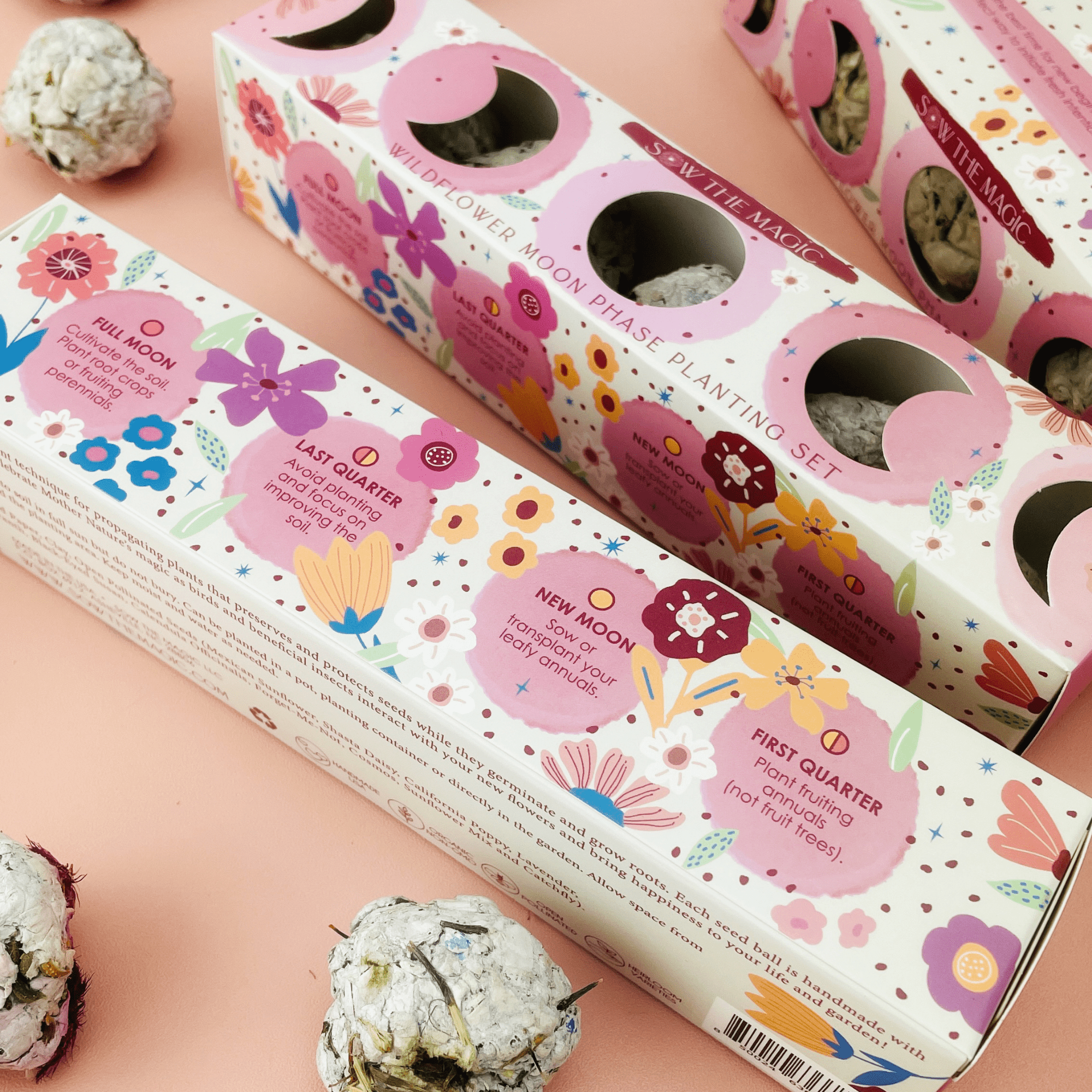 Moon Phase Wild Flower Seed Planting Set - DIGS
