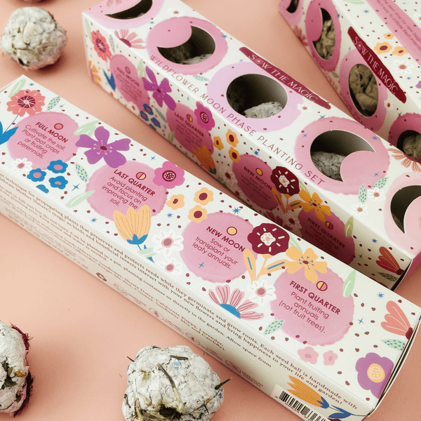 Moon Phase Wild Flower Seed Planting Set - DIGS