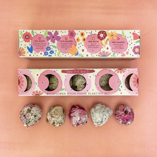 Moon Phase Wild Flower Seed Planting Set - DIGS