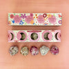 Moon Phase Wild Flower Seed Planting Set - DIGS