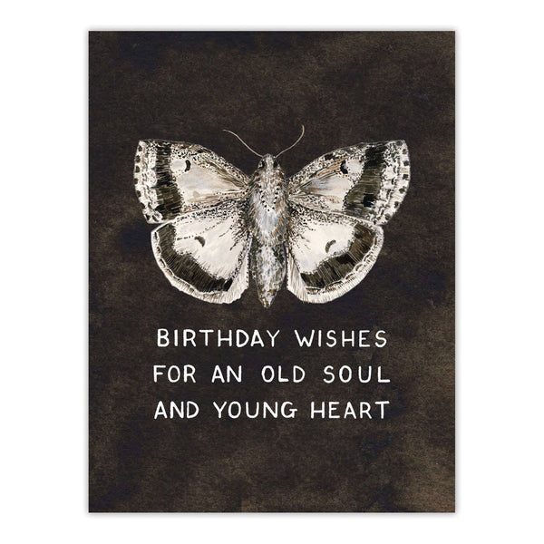 Moth Birthday Wishes Card - DIGS