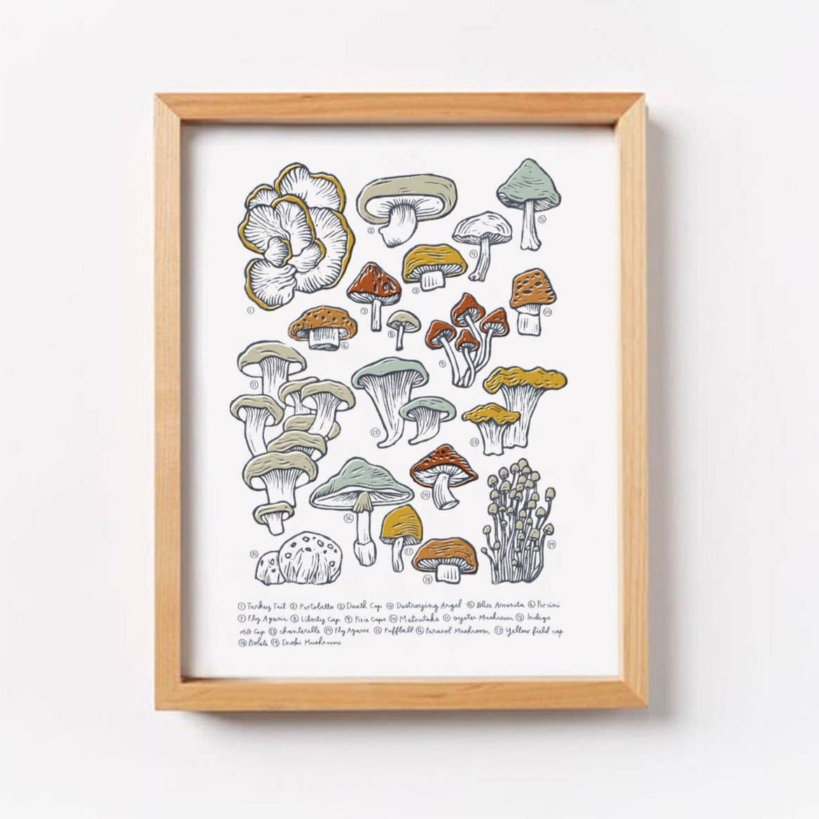 Mushroom & Fungi Wall Art Print - DIGS