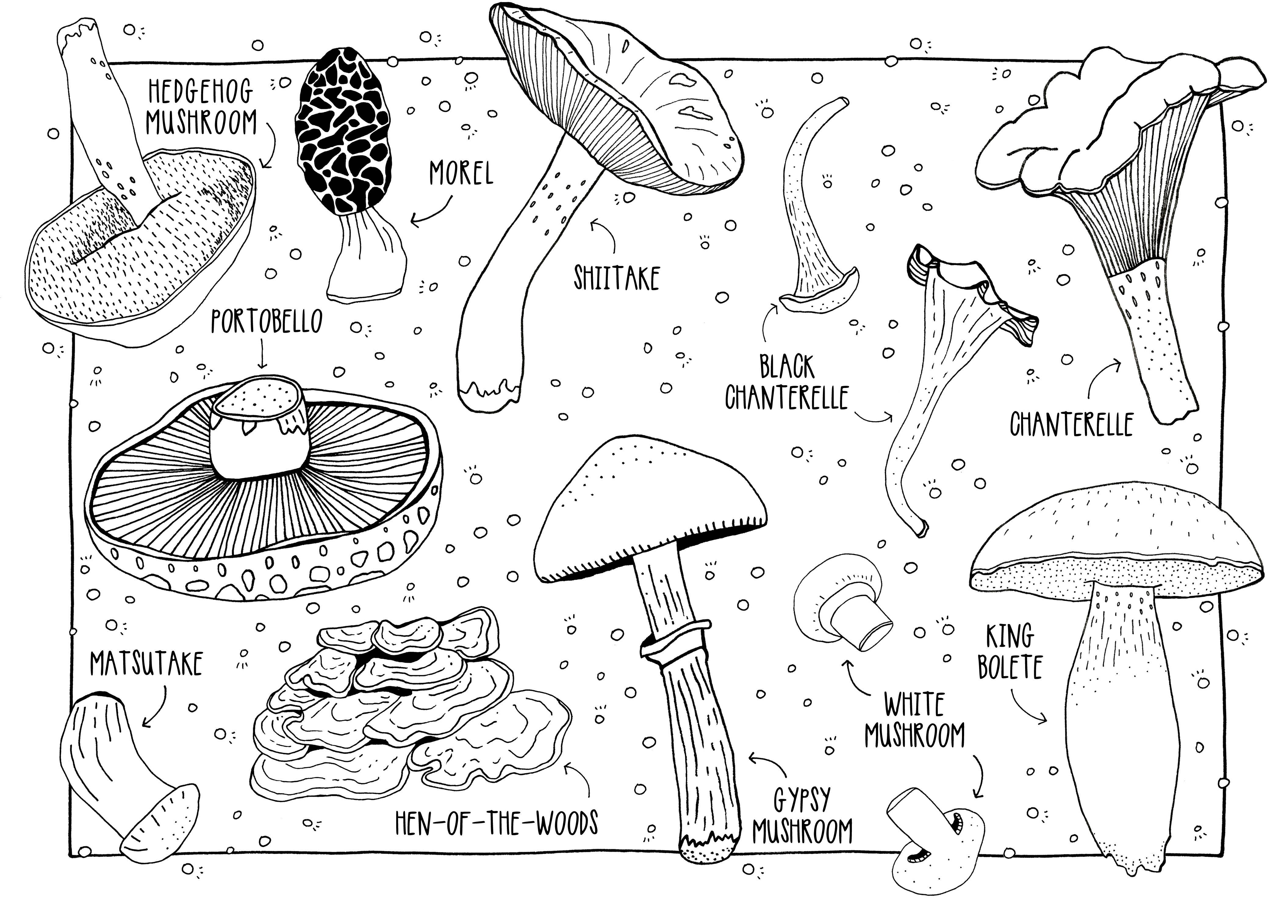 Mushrooms Coloring Postcards - DIGS