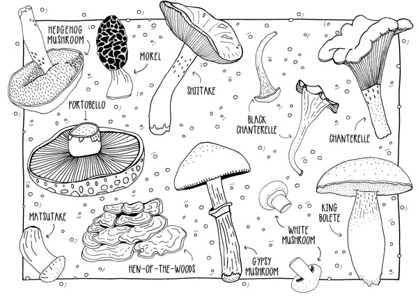 Mushrooms Coloring Postcards - DIGS