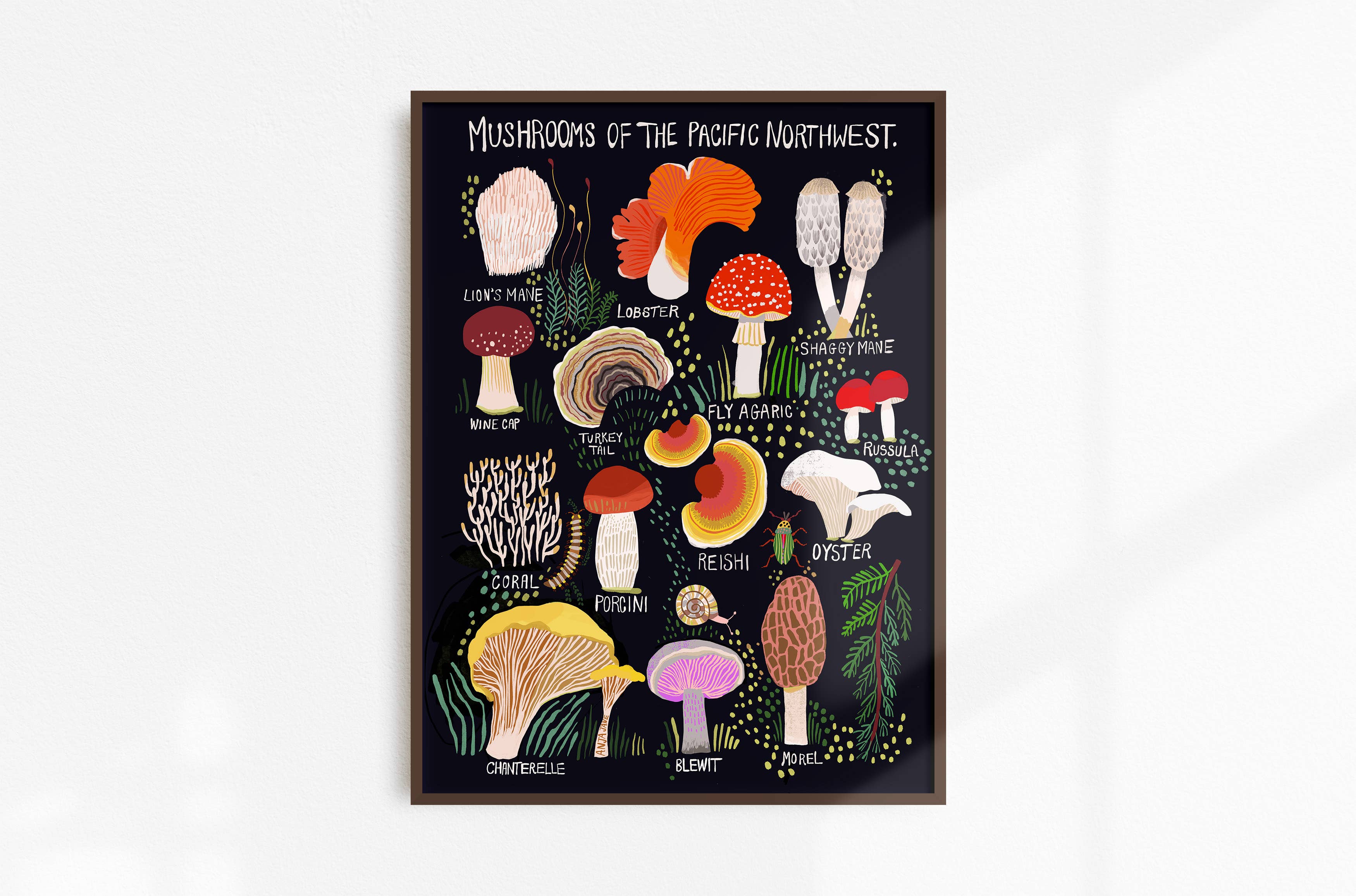 Mushrooms of the Pacific Northwest Art Print - DIGS