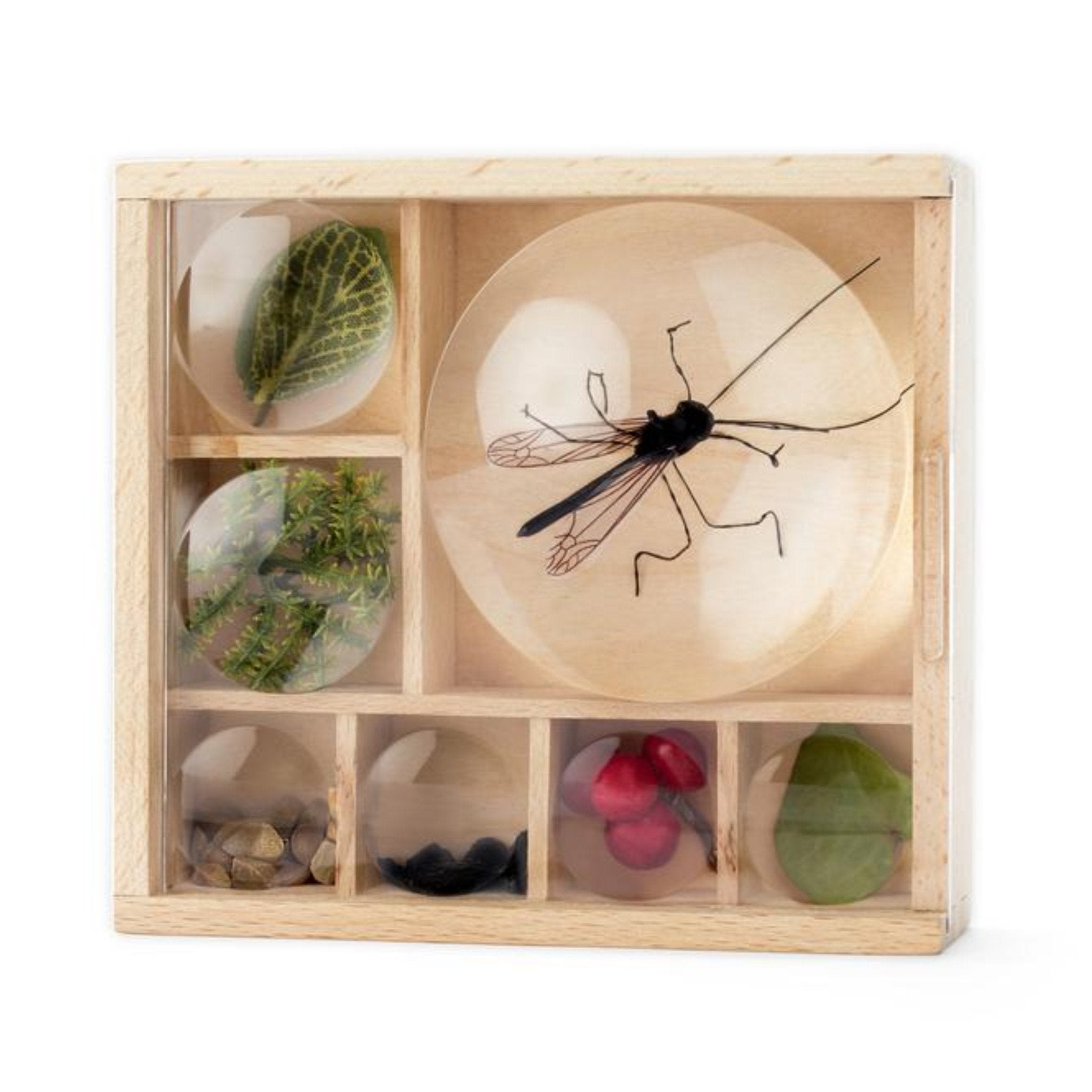 My Little Museum Box - DIGS