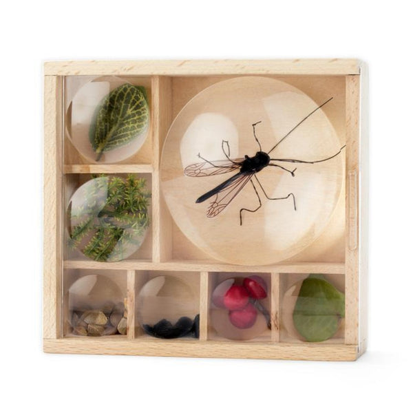 My Little Museum Box - DIGS