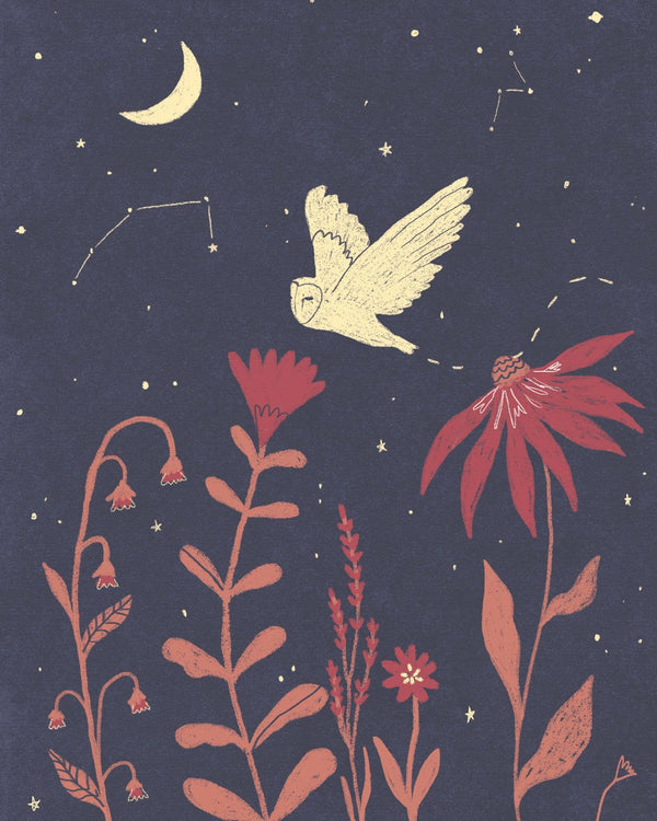 Night Owl 8x10 Art Print - DIGS