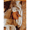 Nino, The Brave Sheep Doll - DIGS