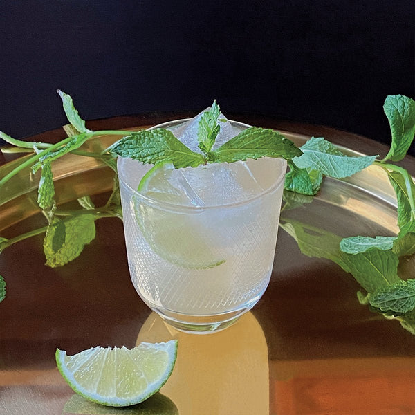 No - Muddle Mojito Infusion Pack - DIGS