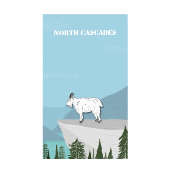 North Cascades Enamel Pin - DIGS