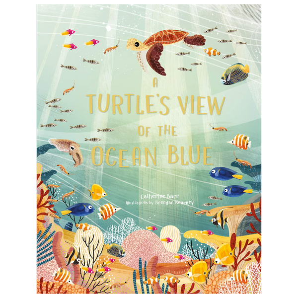 Turtles View of the Ocean Blue - DIGS