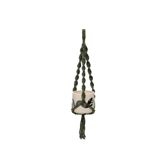 OG Plant Hanger - DIGS