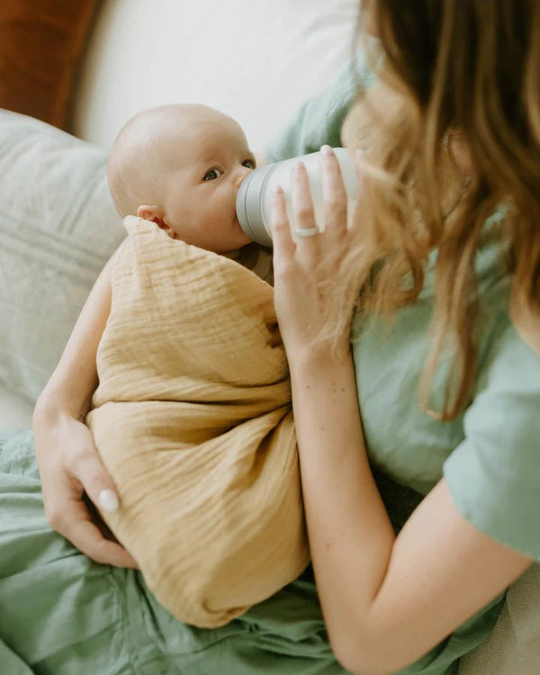 Organic Cotton Muslin Swaddle 2 Pack: Swallows - DIGS