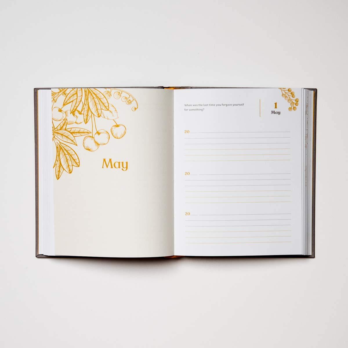 Our Daily Question Journal - DIGS