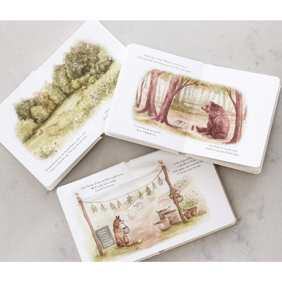 Our Little Adventures: Stories Featuring Foundational Language Concepts Board Book Set - DIGS