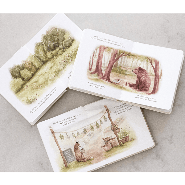 Our Little Adventures: Stories Featuring Foundational Language Concepts Board Book Set - DIGS