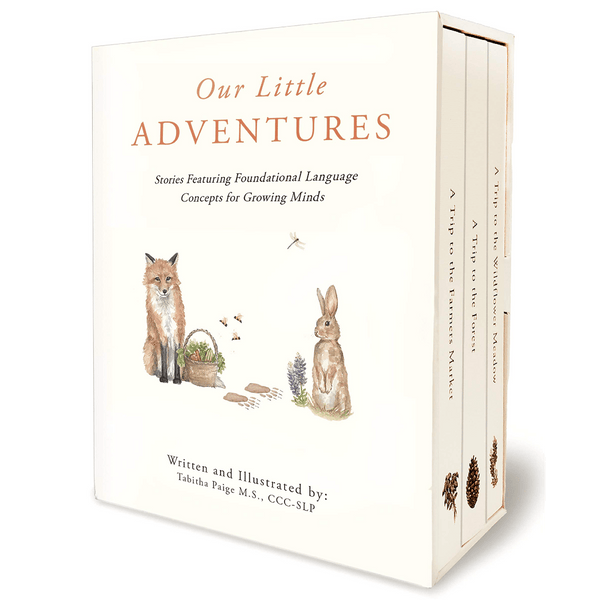 Our Little Adventures: Stories Featuring Foundational Language Concepts Board Book Set - DIGS