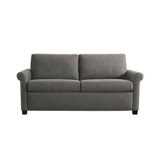 Paige Silver Sleeper Sofa - DIGS