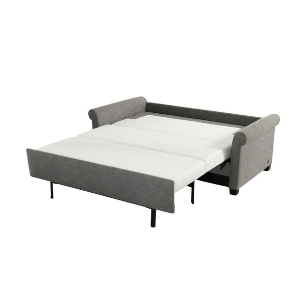 Paige Silver Sleeper Sofa - DIGS