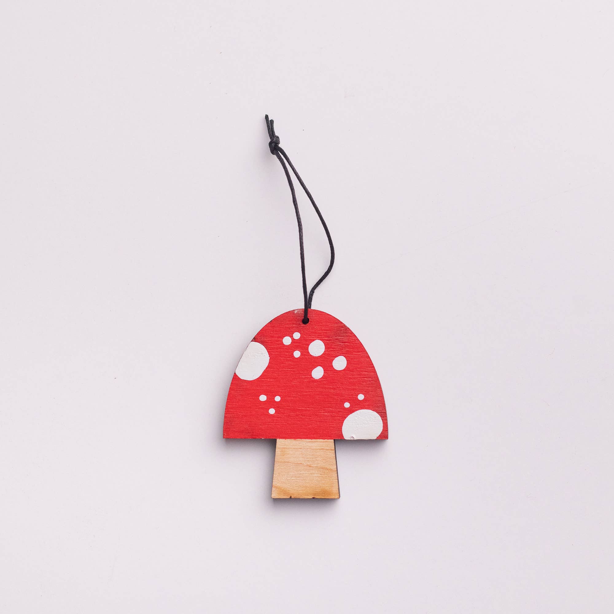 Painted Mushroom Ornament - DIGS