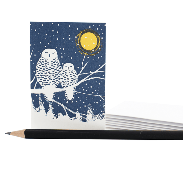Peaceful Owls Enclosure Card, Box/6 - DIGS