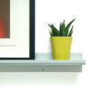 Picture Rail - DIGS