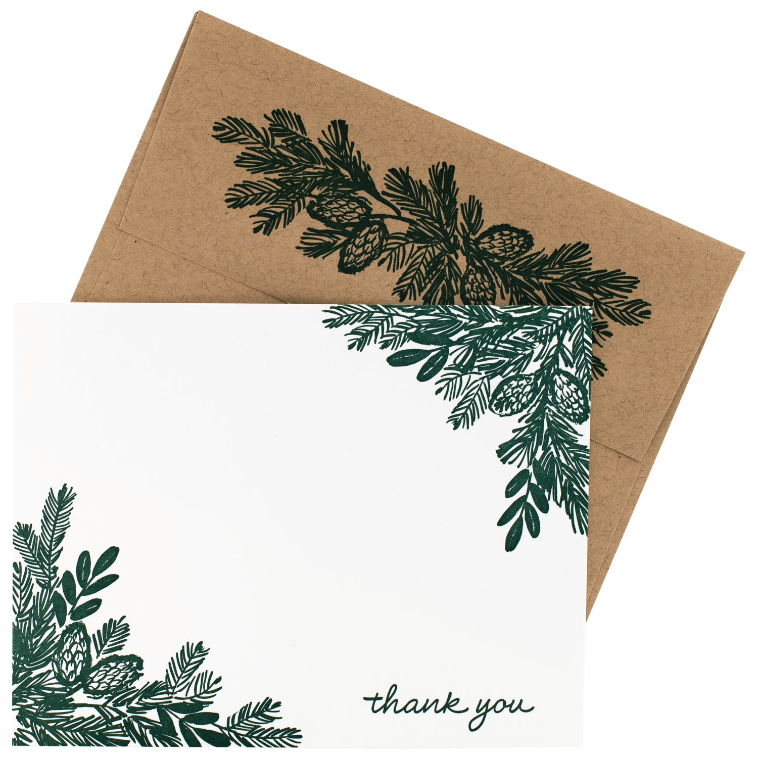 Pine Branch Thank You Cards with Letterpress Envelopes - DIGS