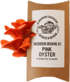 Pink Oyster Mushroom Growing Kit - DIGS