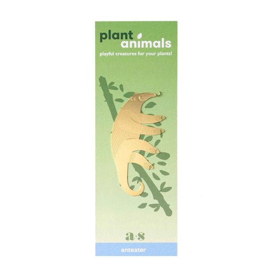 Plant Animal: Anteater - DIGS