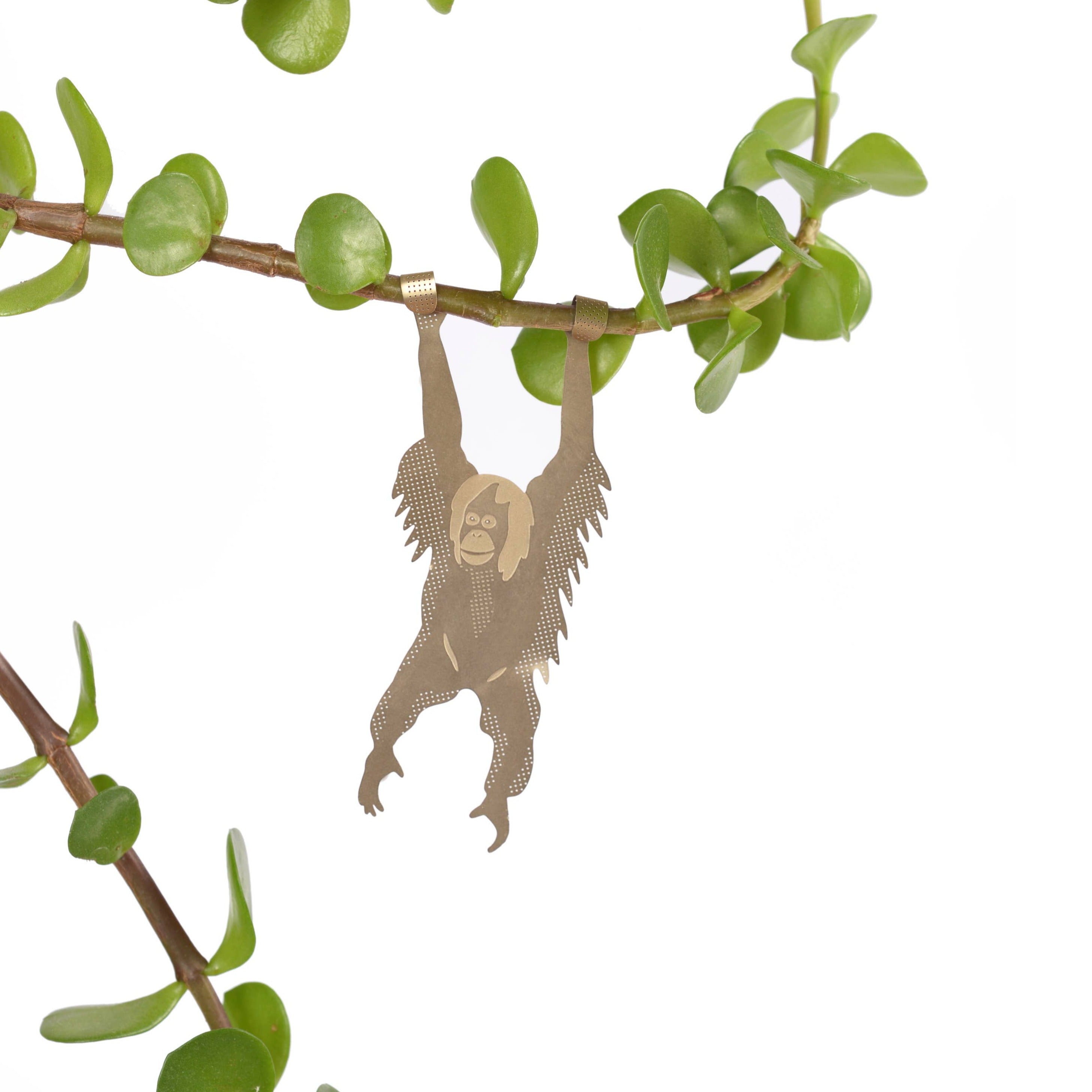 Plant Animal: Orangutan - DIGS