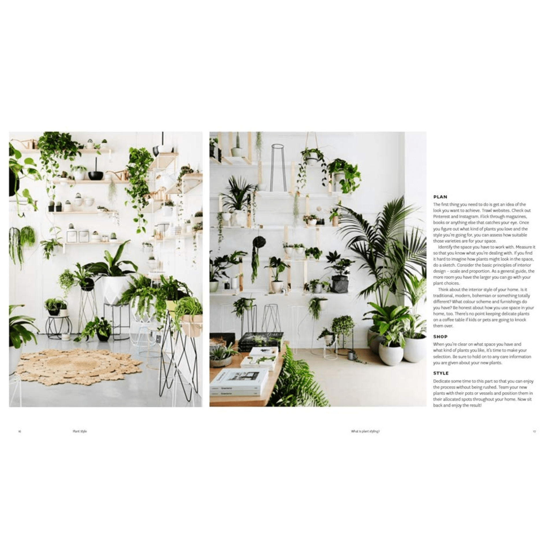 Plant Style: How To Greenify Your Space - DIGS