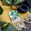 Plantfulness: How to Change Your Life With Plants - DIGS