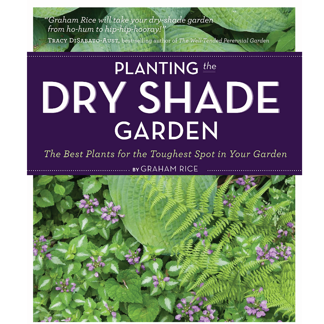 Planting the Dry Shade Garden - DIGS