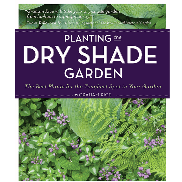 Planting the Dry Shade Garden - DIGS